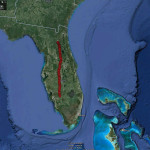 Aug 23 ~ MIG 6 - South Florida