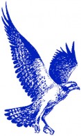 osprey-blue