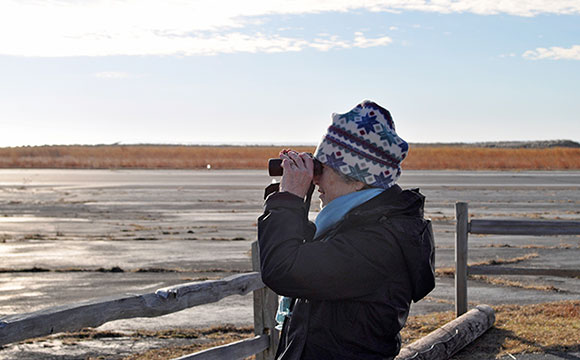 Penni Sharp birdwatching on Fishers, December 2013. Photo by Jane Ahrens.