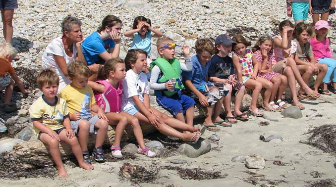 Creature Features at the Ocean Children's Program